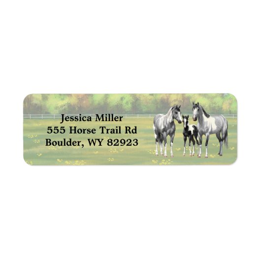 Apfel-Graupferd in der Sommerweide (Vorne)