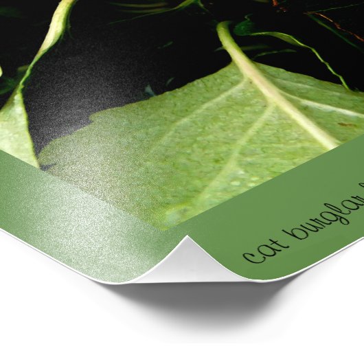 Äpfel im Herbst Fotodruck (Ecke)