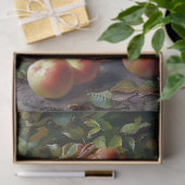 Äpfel in einem Basket mit Stillleben Seidenpapier (Geschenk)