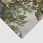 Äpfel in einem Basket mit Stillleben Seidenpapier (Detail)