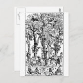 Äpfel in Obstgärten pflücken Postkarte (Vorne/Hinten)