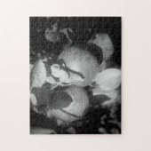 Äpfel in Schwarz-Weiß-Natur Puzzle (Vertikal)