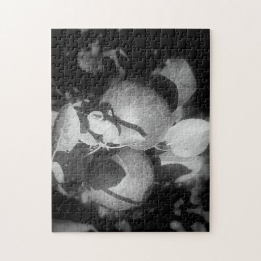 Äpfel in Schwarz-Weiß-Natur Puzzle (Vertikal)