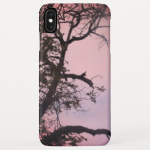 Apfel iPhone x Case TREE IN SUNSET DESIGN