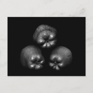 Äpfel - Kunst Klassisch Elegant Spaß einzigartig Postkarte