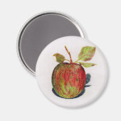Apfel Magnet (Vorderseite/Rückseite)