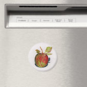 Apfel Magnet (In Situ (Geschirrspüler))