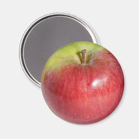 Apfel Magnet (Vorderseite/Rückseite)