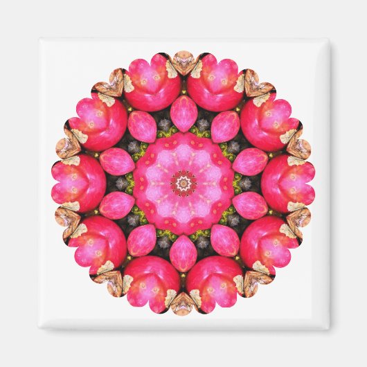 ÄPFEL MAGNET (Vorne)