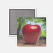 Apfel Magnet (Vorderseite/Rückseite)