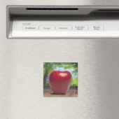 Apfel Magnet (In Situ (Geschirrspüler))