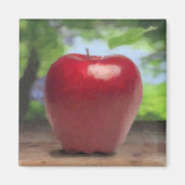 Apfel Magnet (Vorne)