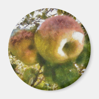 Apfel Magnet