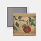 Apfel Magnet (Vorderseite/Rückseite)