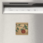 Apfel Magnet (In Situ (Geschirrspüler))