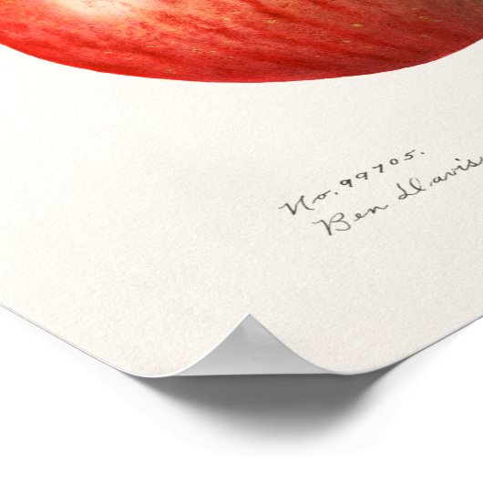 Äpfel (Malus Domestica) Fruchtfarben Poster (Ecke)