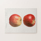 Äpfel (Malus Domestica) Fruchtfarben Puzzle (Horizontal)