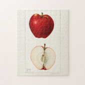 Äpfel (Malus Domestica) Fruchtfarben Puzzle (Vertikal)
