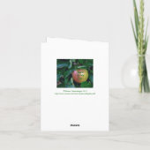 "Apfel meines Auges"/ "DAS SIND SIE!" Karte (Rückseite)