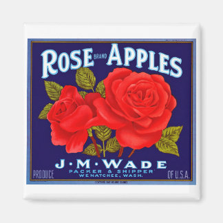 Äpfel mit Rose Magnet
