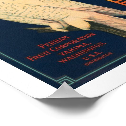 Äpfel mit Schneeauulinge Poster (Ecke)