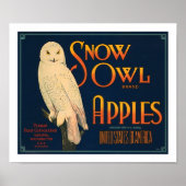Äpfel mit Schneeauulinge Poster (Vorne)