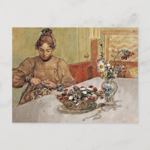 Äpfel mit Skalande Postkarte