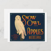 Äpfel mit Vintager Kiste für Schneeauulinge Postkarte (Vorne/Hinten)