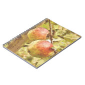 ÄPFEL NOTIZBLOCK (Linke Seite)