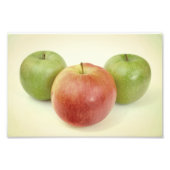 Äpfel Obst Fotodruck (Vorne)