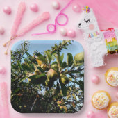 Äpfel Pappteller (Party)