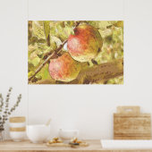 ÄPFEL POSTER (Küche)