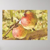 ÄPFEL POSTER (Vorne)