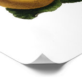 Äpfel Poster (Ecke)