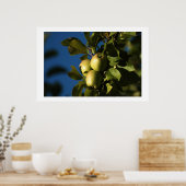 Äpfel Poster (Küche)