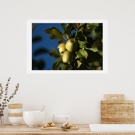 Äpfel Poster (Küche)