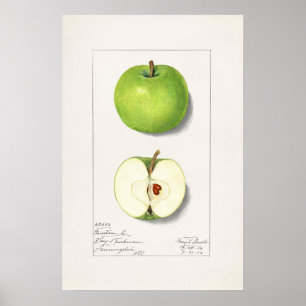 Apfel Poster