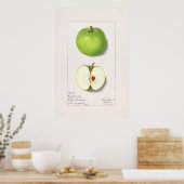 Apfel Poster (Küche)