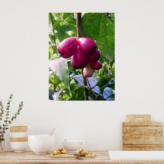 Äpfel Poster (Küche)