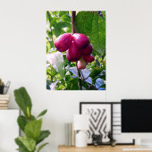 Äpfel Poster (Heimbüro)