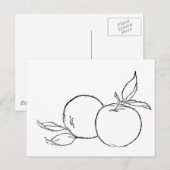 Äpfel Postkarte (Vorne/Hinten)