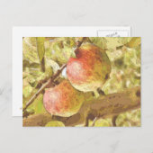 ÄPFEL POSTKARTE (Vorne/Hinten)