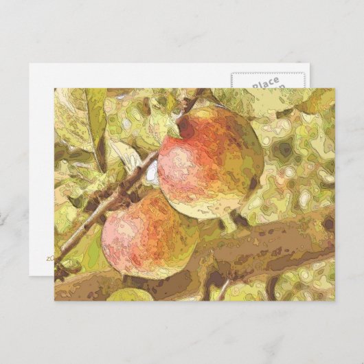 ÄPFEL POSTKARTE (Vorne/Hinten)