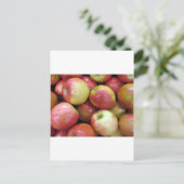 Äpfel Postkarte (Stehend Vorderseite)