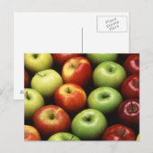 Äpfel Postkarte (Vorne/Hinten)