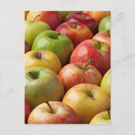 Äpfel - Reif & Farbige Postkarte
