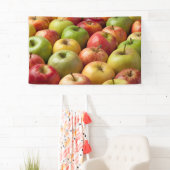 Äpfel - reif u. bunt banner (Insitu)