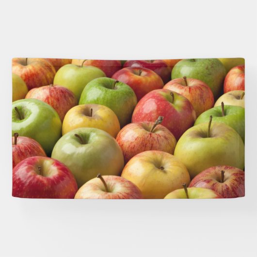 Äpfel - reif u. bunt banner (Horizontal)