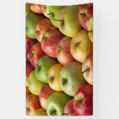 Äpfel - reif u. bunt banner (Vertikal)