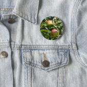 Äpfel reifen an einem Apfelbaum Button (Beispiel)
